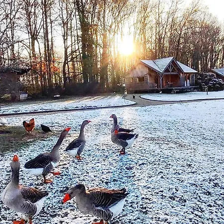 Country Lodge *
