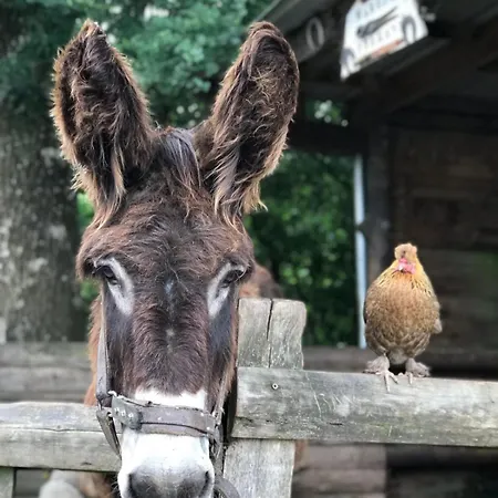 Country * Les Epasses
