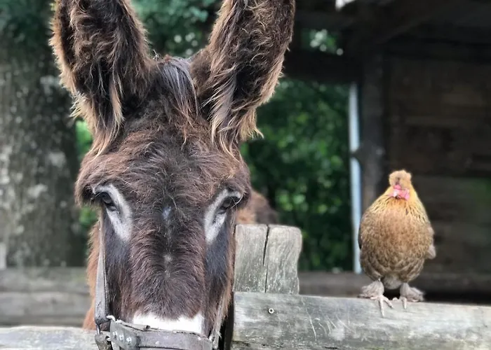 Country * Les Epasses